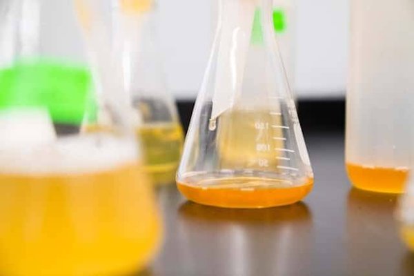 Comment choisir les emballages en verre pour les échantillons de laboratoire ?